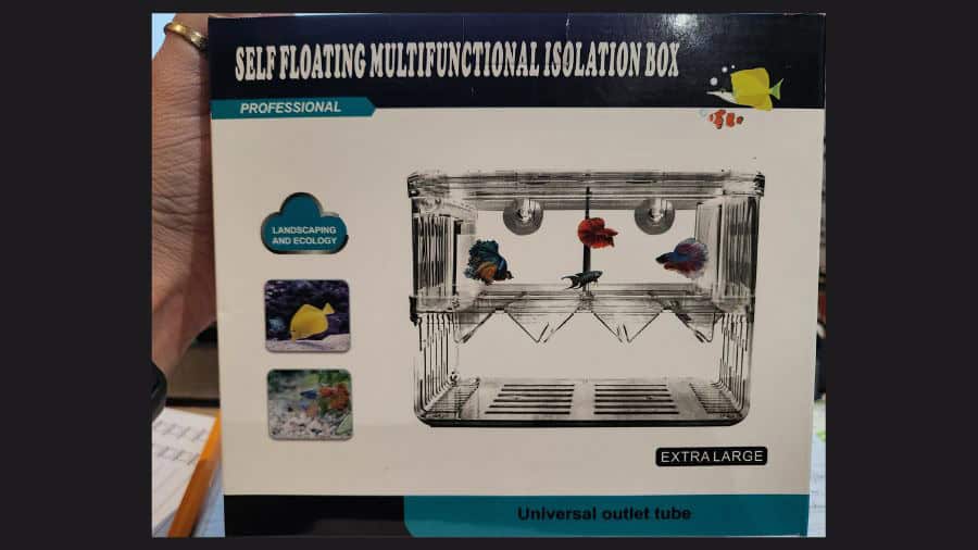 Isolation Breeding Box Nursery Tank