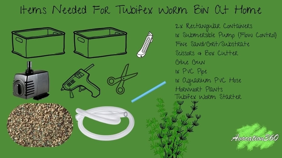 Items Required For Tubifex Worms Tank Bin At Home DIY