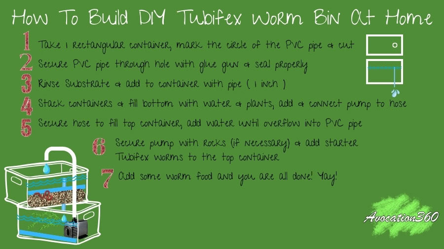 How To Build DIY Tubifex Worms Bin Tank At Home