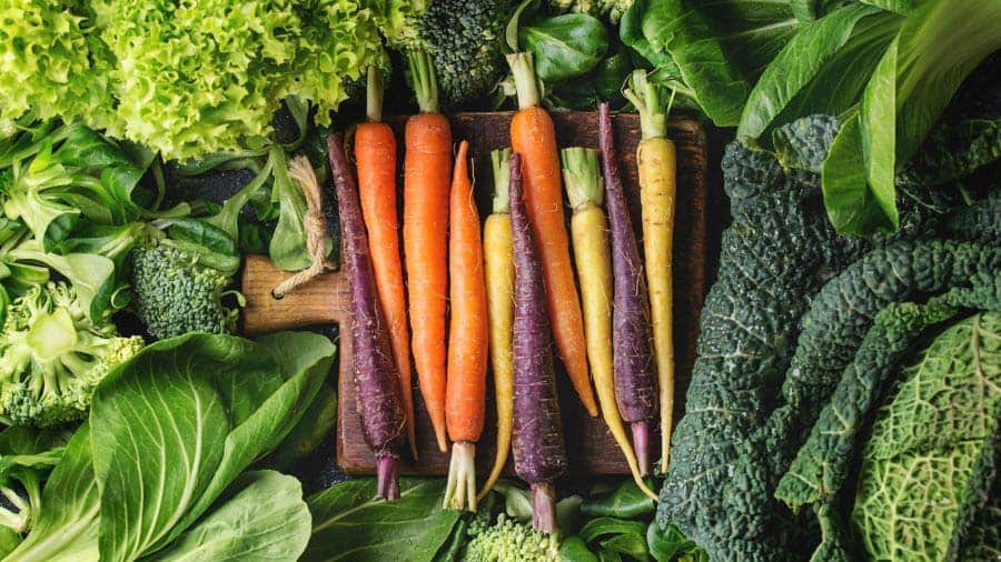 Various Vegetables Arranged Display