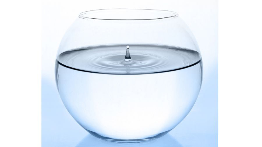 Water In Round Fish Bowl